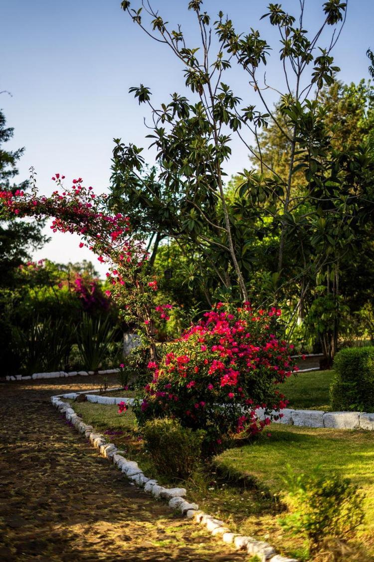 Best Western Plus Posada De Don Vasco Pátzcuaro Extérieur photo Bougainvillea